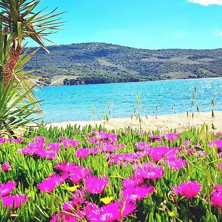 דירה Mediteran